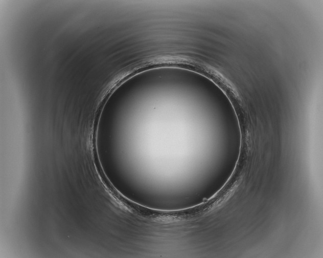 X0000116871033200912291315