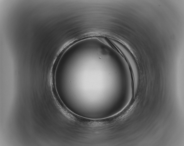 X0000116871034200912291315