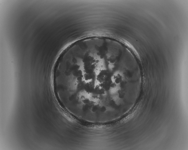 X0000116871035200912291315