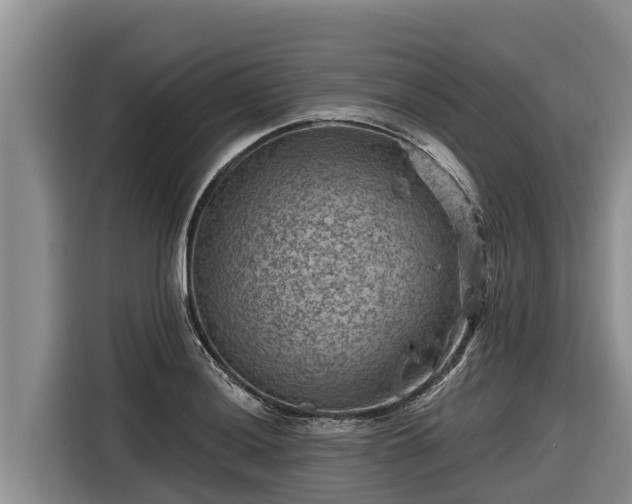 X0000116871036200912291315