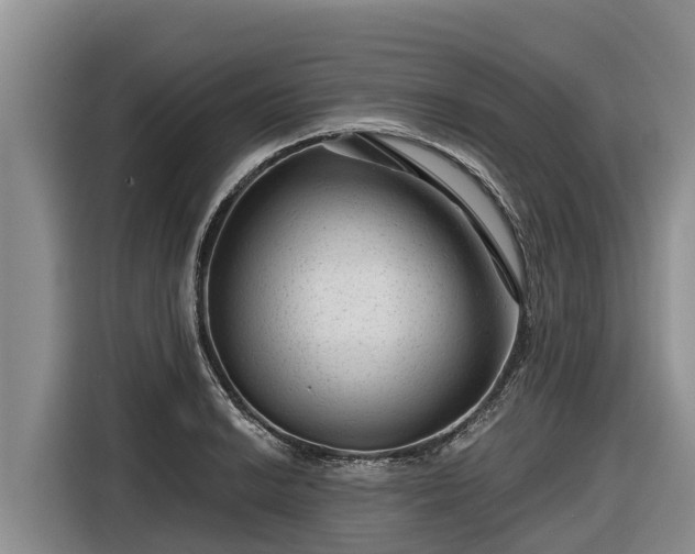 X0000116871038200912291315