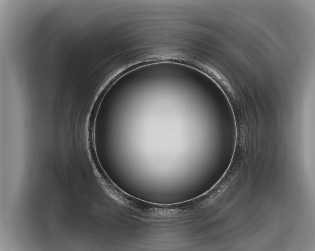 X0000116871039200912291315