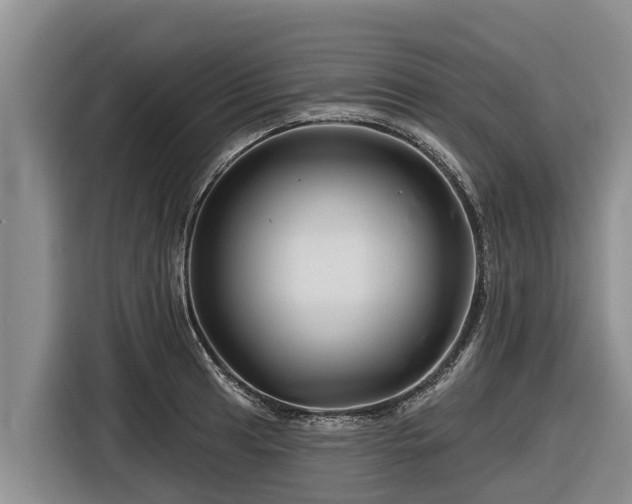 X0000116871041200912291315