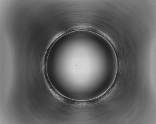 X0000116871042200912291315