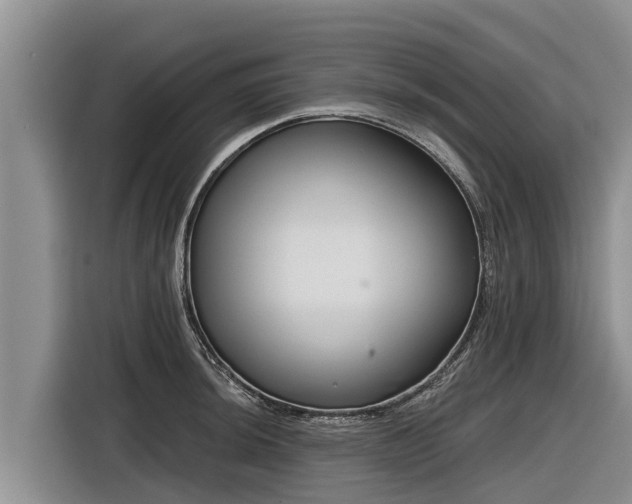 X0000116871044200912291316
