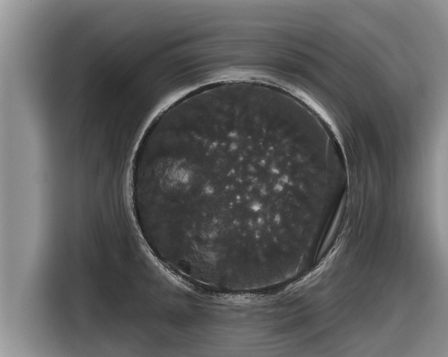 X0000116871045200912291316