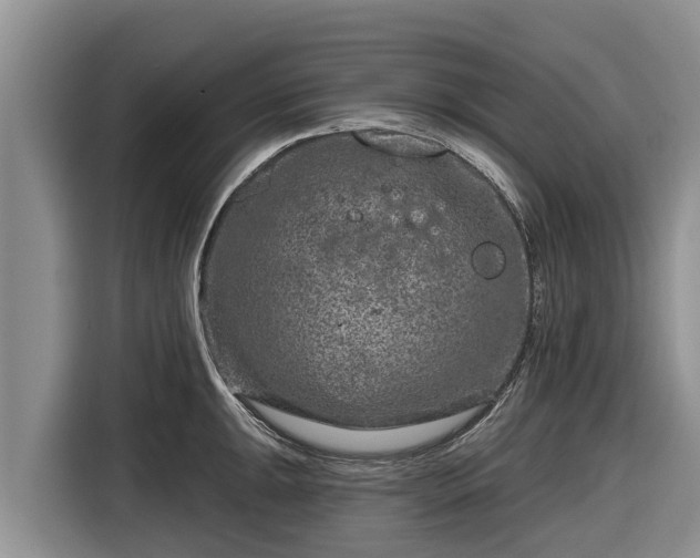 X0000116871047200912291316