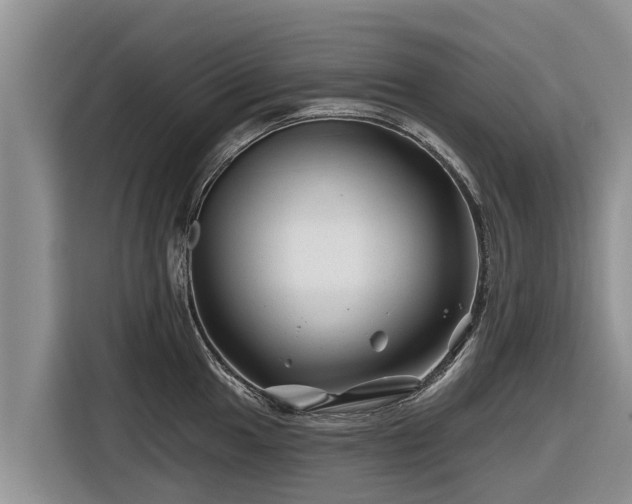 X0000116871049200912291316