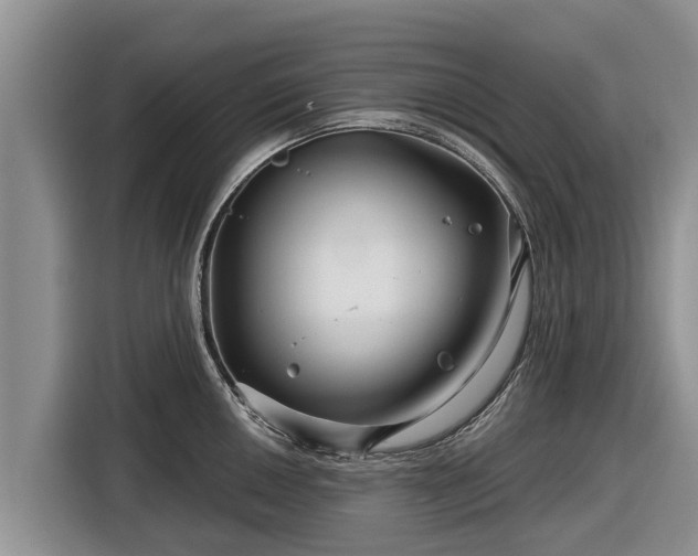 X0000116871050200912291316