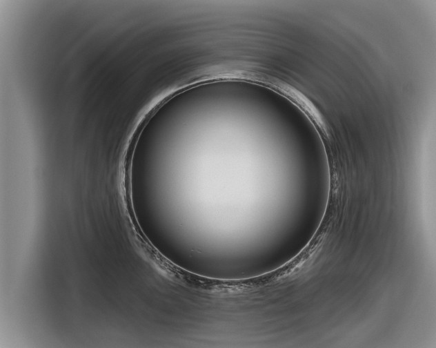 X0000116871051200912291316