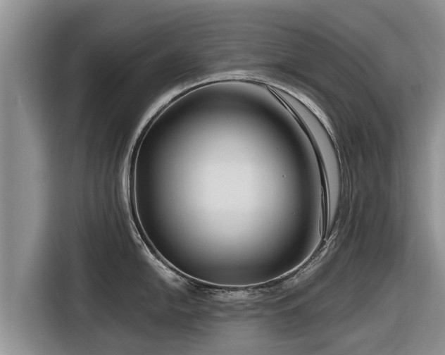 X0000116871054200912291316