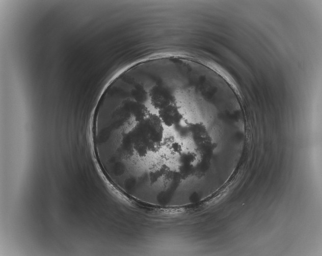 X0000116871055200912291316