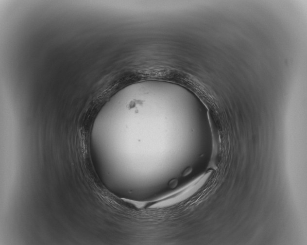 X0000116871058200912291315