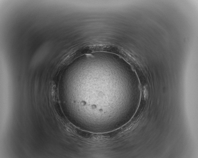 X0000116871059200912291315