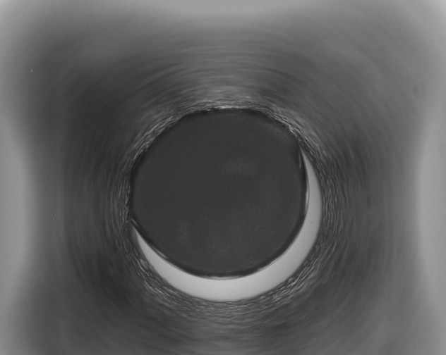 X0000116871060200912291315