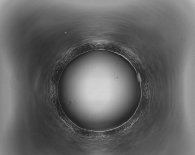 X0000116871061200912291315