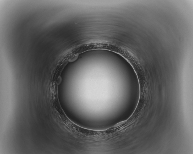 X0000116871062200912291315