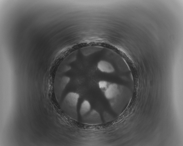 X0000116871063200912291315