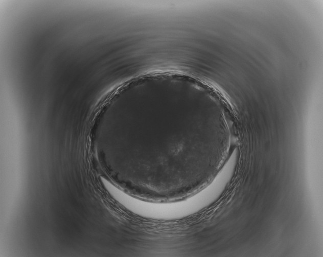 X0000116871064200912291315