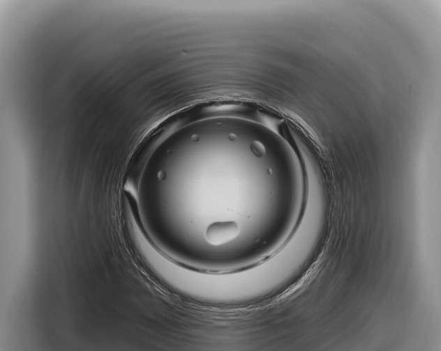 X0000116871065200912291315