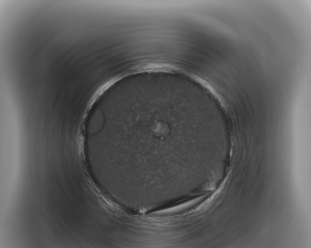 X0000116871066200912291315
