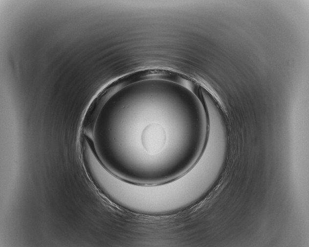 X0000116871068200912291315