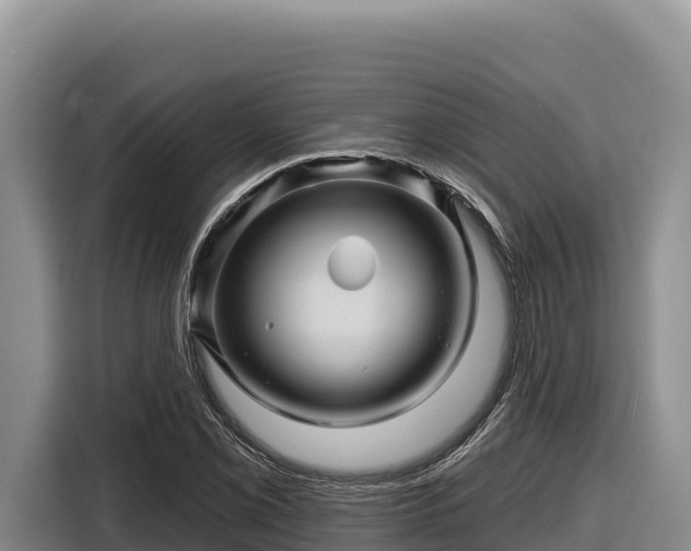 X0000116871069200912291315