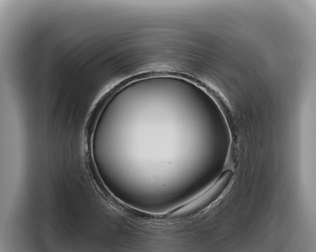 X0000116871070200912291315