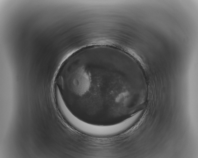 X0000116871071200912291315