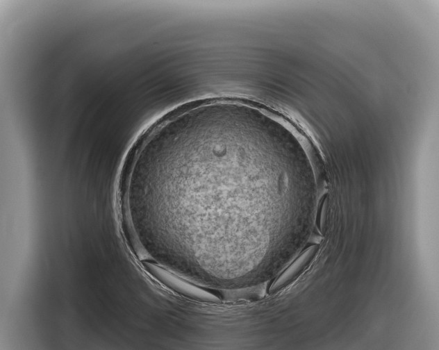 X0000116871072200912291315