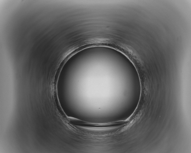 X0000116871073200912291315