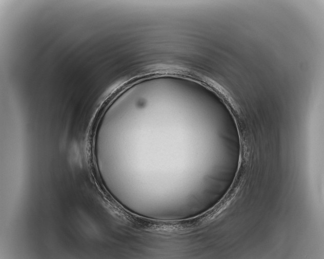 X0000116871074200912291315
