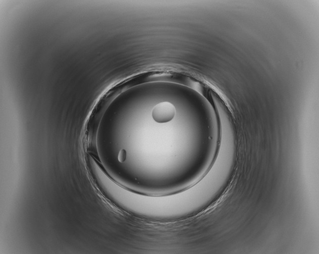 X0000116871075200912291315