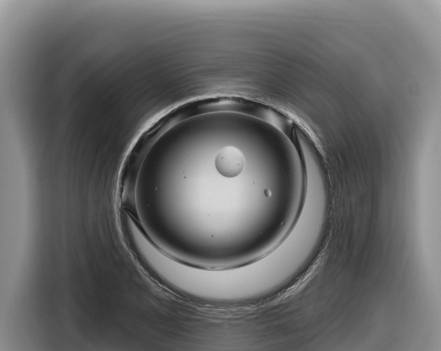 X0000116871077200912291315