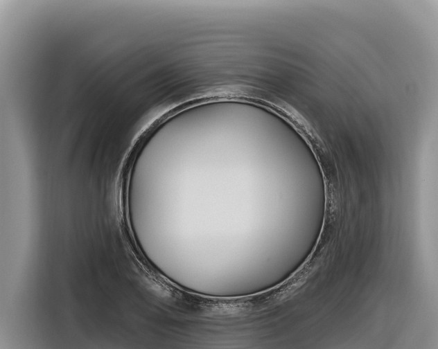 X0000116871078200912291315