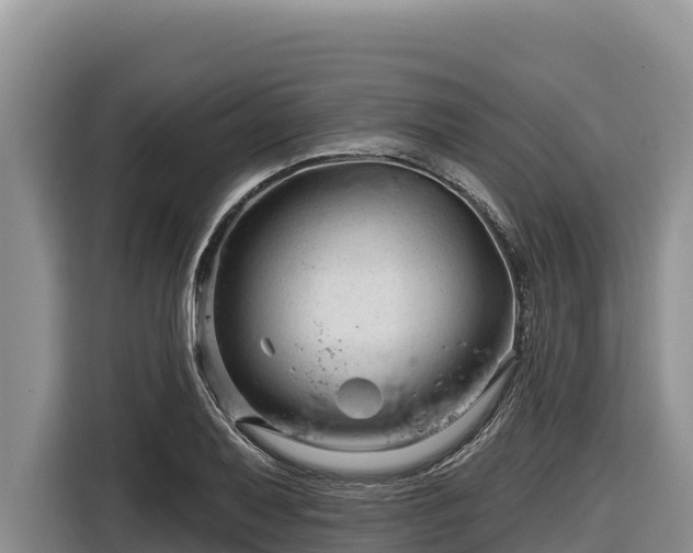 X0000116871079200912291315
