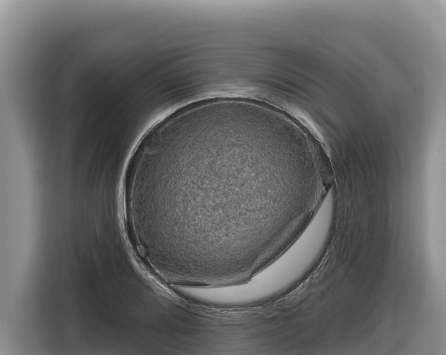 X0000116871080200912291315