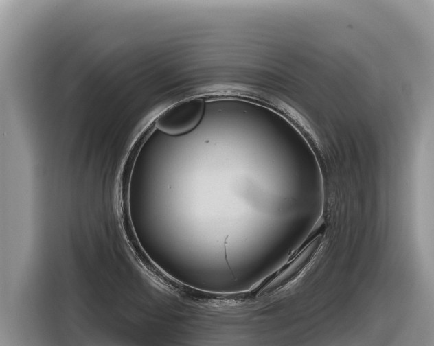 X0000116871082200912291315