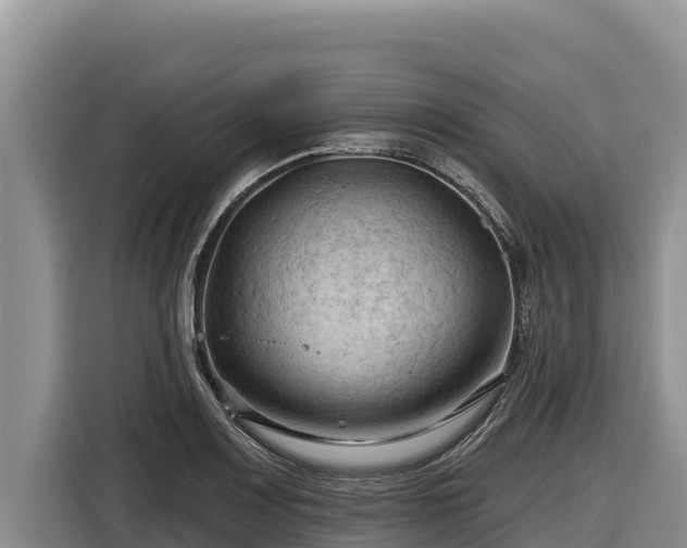 X0000116871083200912291315