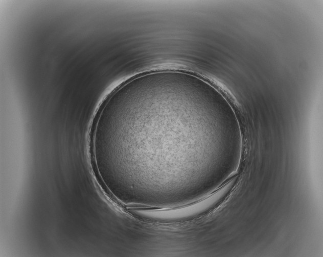 X0000116871086200912291315