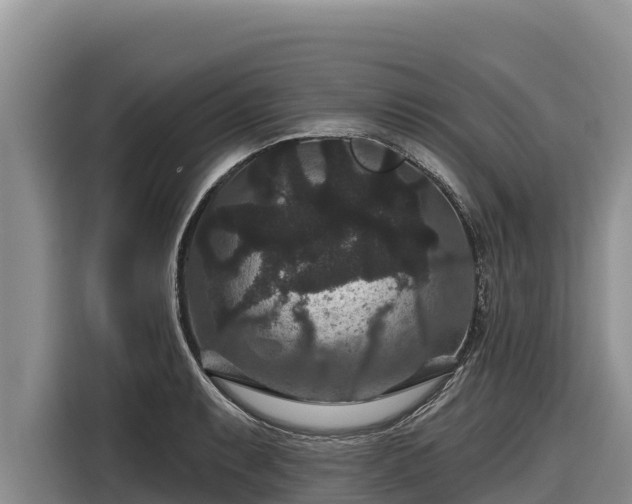 X0000116871087200912291315