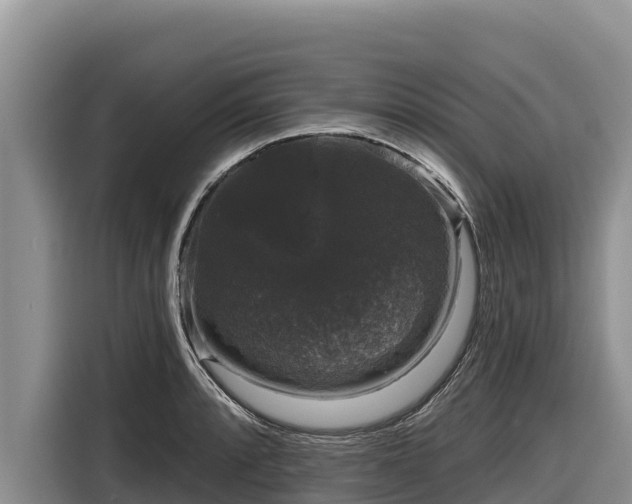 X0000116871088200912291315