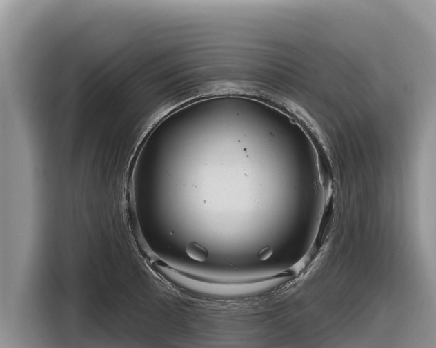X0000116871089200912291315