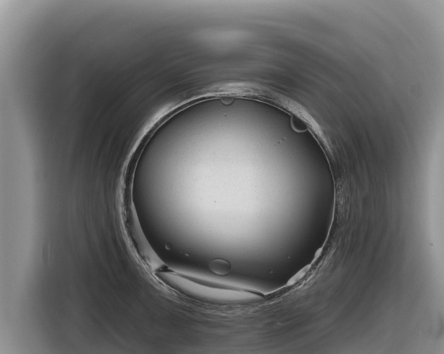 X0000116871091200912291315