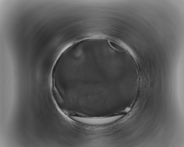 X0000116871095200912291315