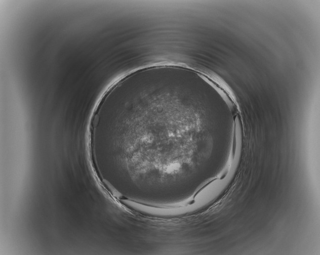 X0000116871096200912291315