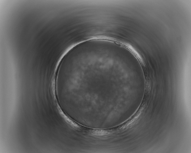 X0000116871100200912291314