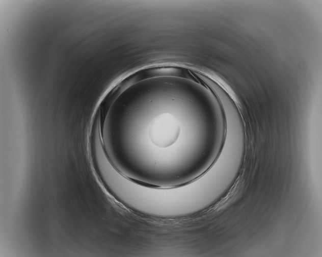 X0000116871101200912291314