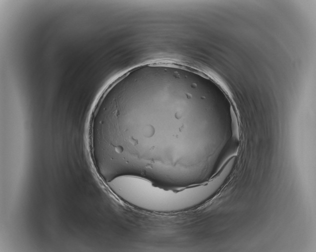 X0000116871104200912291314