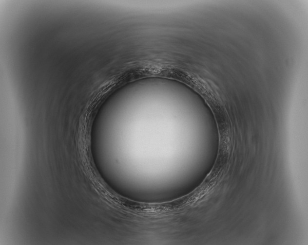 X0000116871105200912291314
